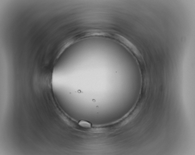 X0000113171377200909111026