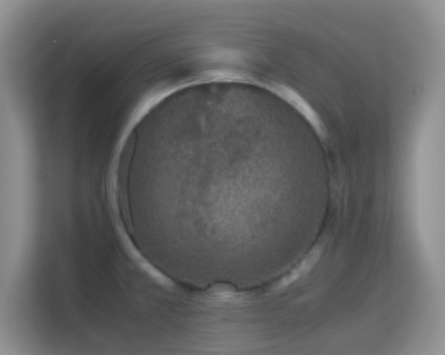 X0000113171381200909111026