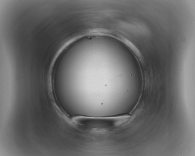 X0000113171384200909111026