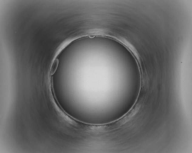 X0000113171389200909111026