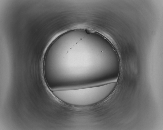 X0000113171392200909111026