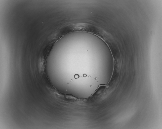 X0000113171394200909111025