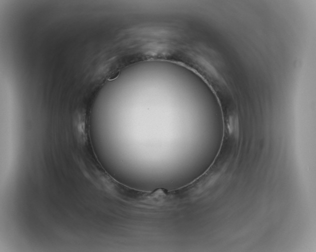 X0000113171396200909111025
