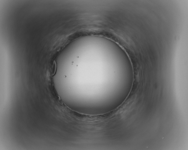 X0000113171397200909111025