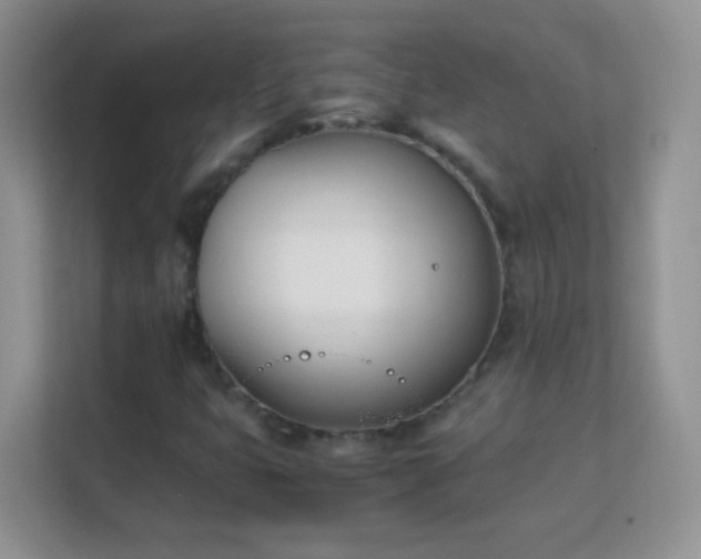 X0000113171399200909111025