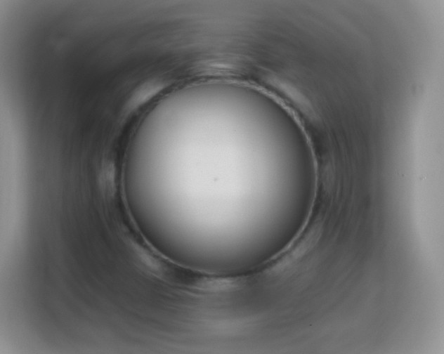 X0000113171402200909111025