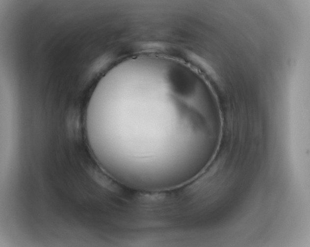 X0000113171403200909111025