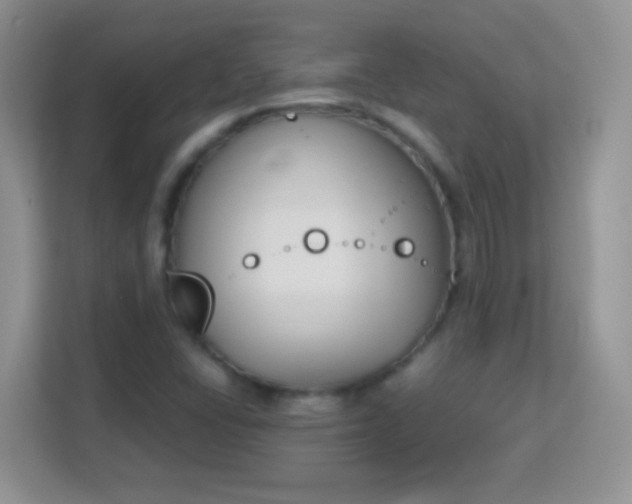 X0000113171406200909111025