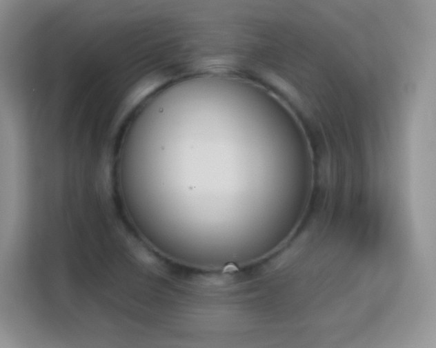 X0000113171410200909111025