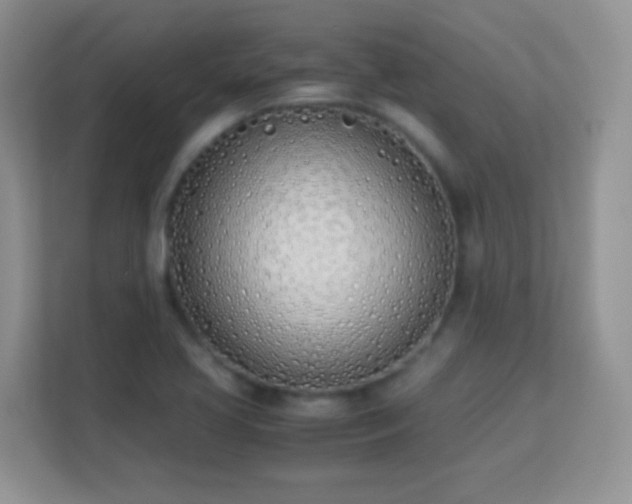 X0000113171413200909111025