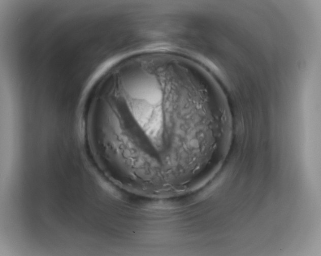 X0000113171414200909111025