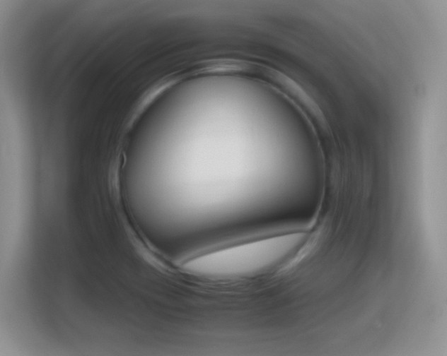 X0000113171417200909111025
