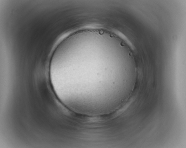 X0000113171421200909111025