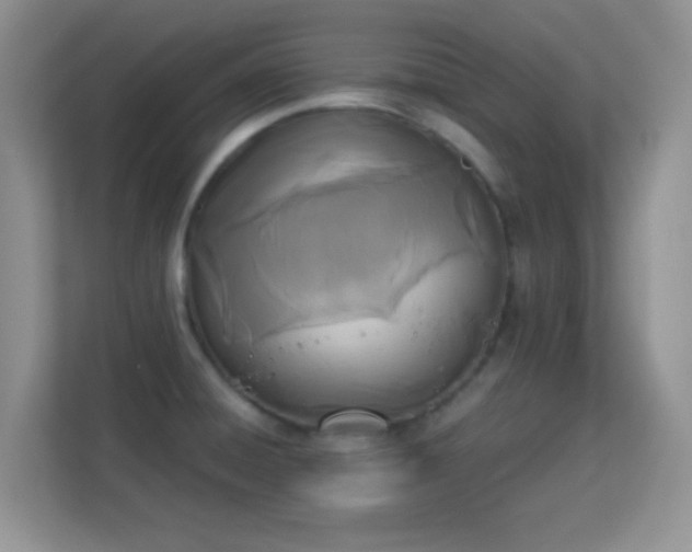 X0000113171428200909111025