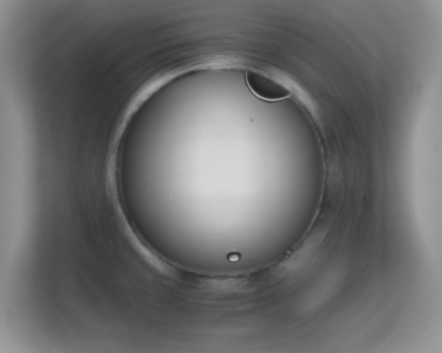 X0000113171429200909111025