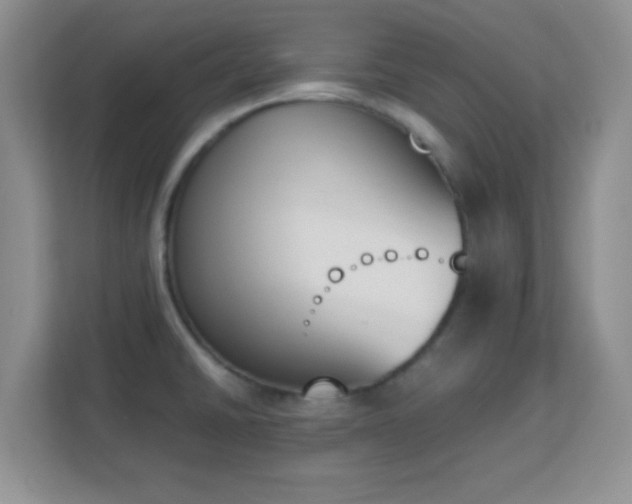 X0000113171430200909111025