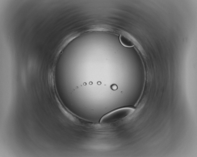 X0000113171433200909111025