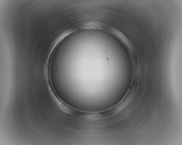 X0000113171434200909111025