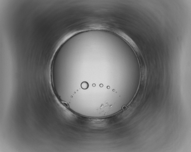 X0000113171439200909111026