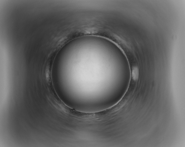 X0000113171444200909111025