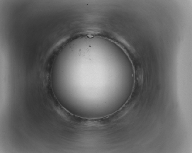 X0000113171448200909111025
