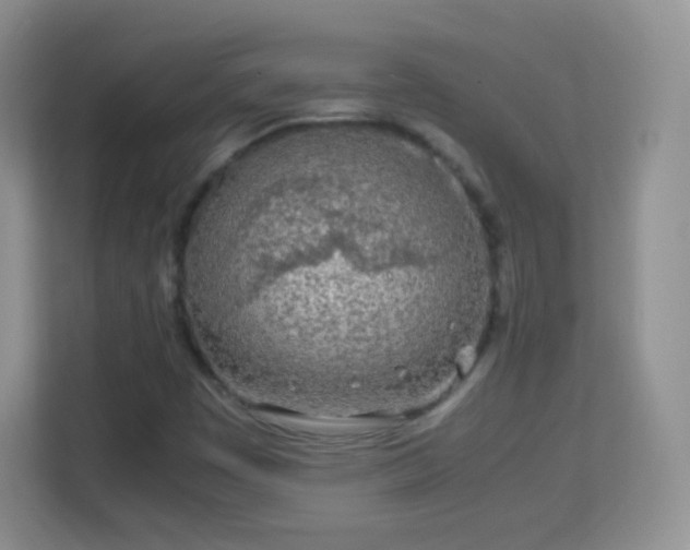 X0000113171449200909111025