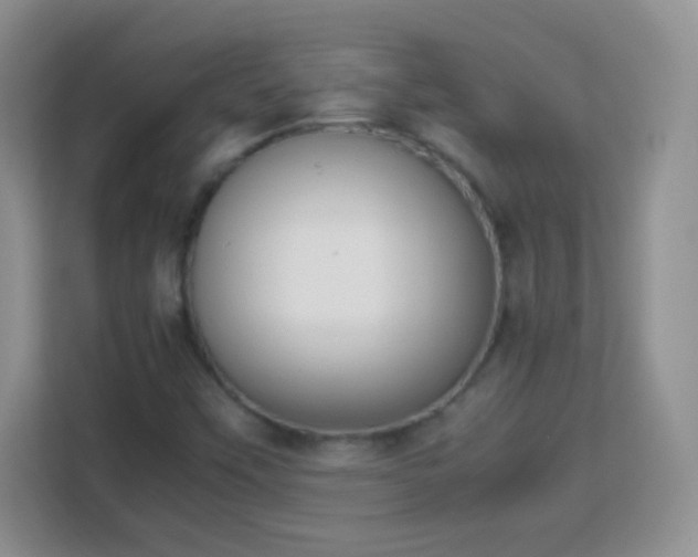 X0000113171451200909111025