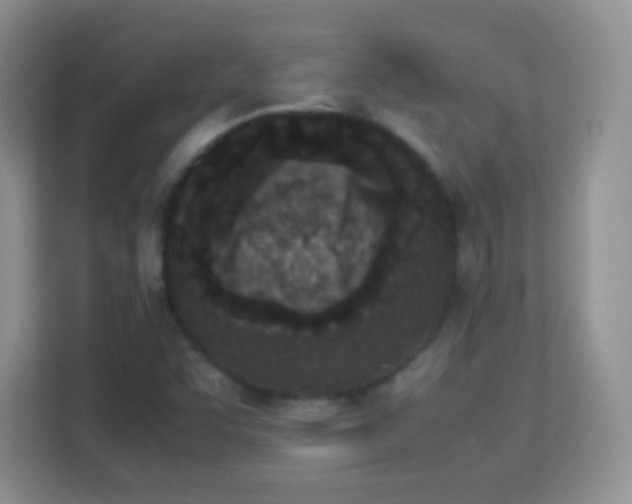 X0000113171455200909111025