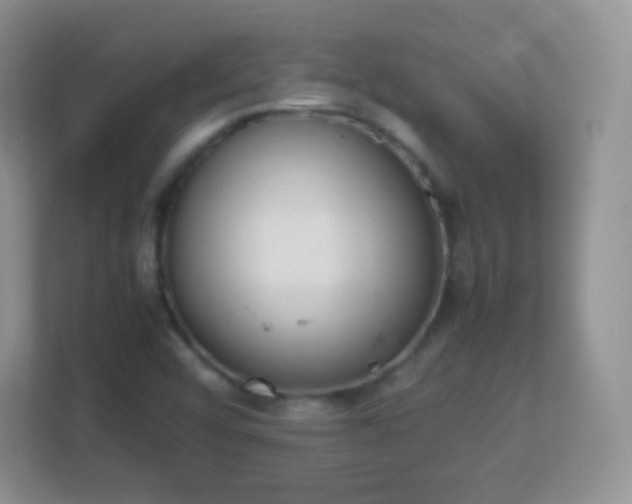 X0000113171456200909111025