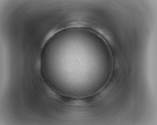 X0000113171459200909111025