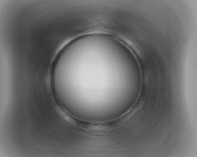 X0000113171460200909111025