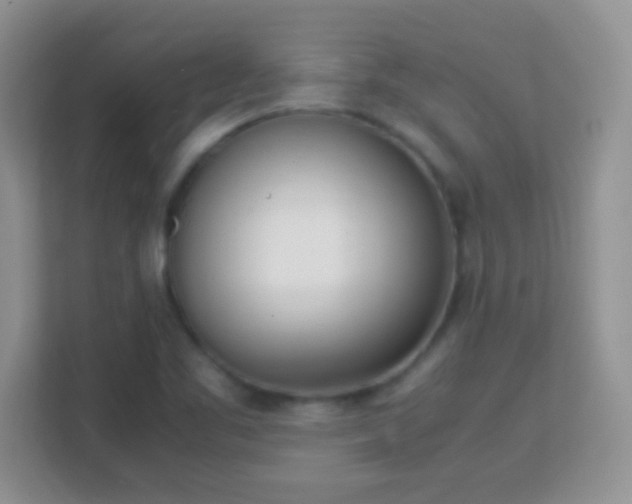 X0000113171461200909111025