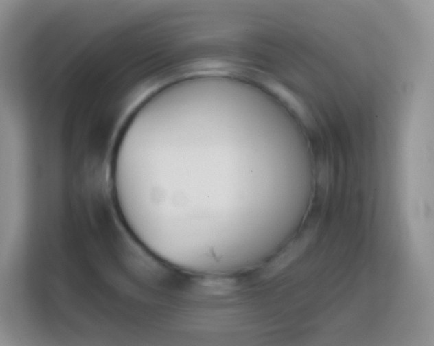 X0000113171466200909111025