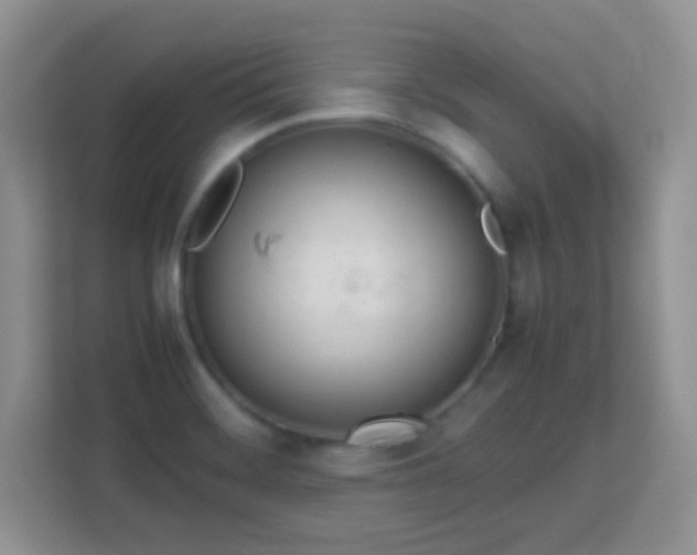 X0000113171468200909111025
