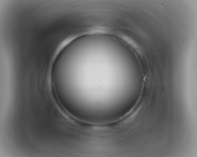 X0000113171469200909111025