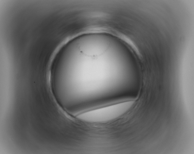 X0000113171472200909111025