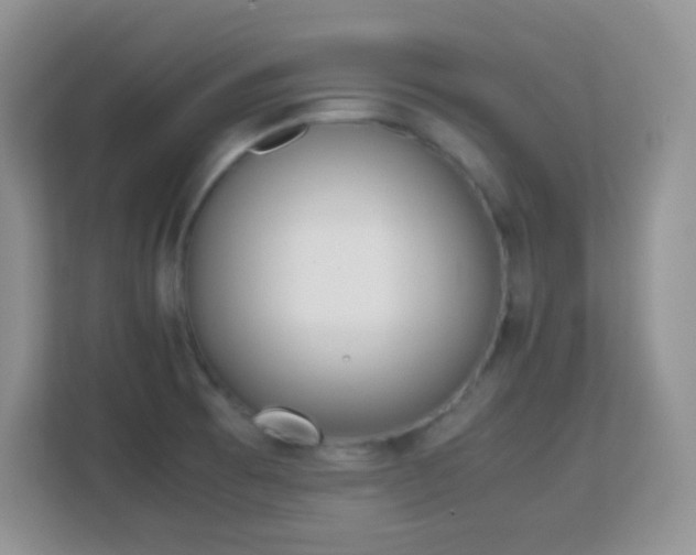 X0000113171473200909111025