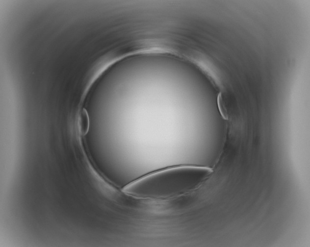 X0000113171476200909111024