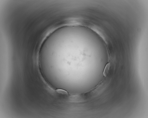 X0000113171477200909111024
