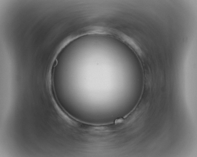 X0000113171479200909111024