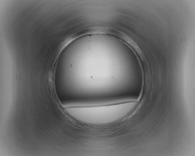 X0000113171481200909111024