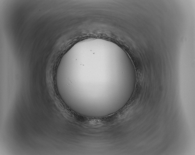 X0000113171489200909111024