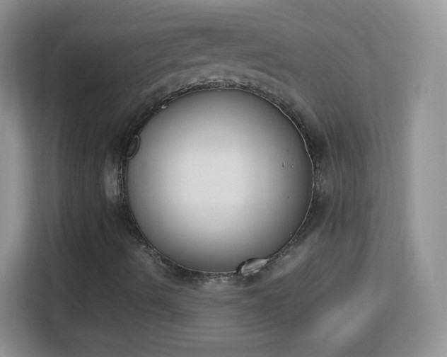 X0000113171490200909111024