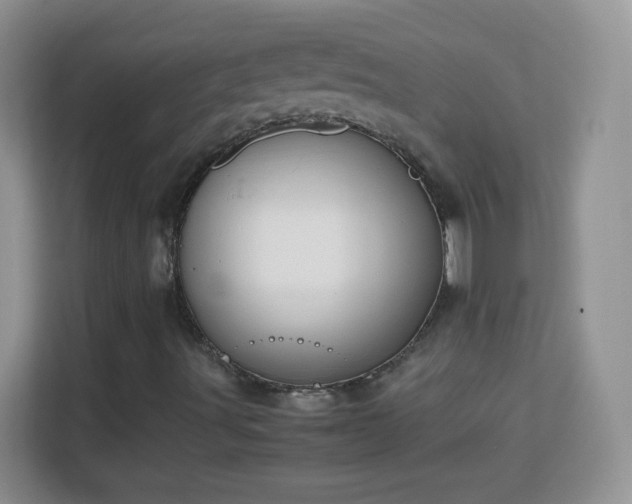 X0000113171491200909111024