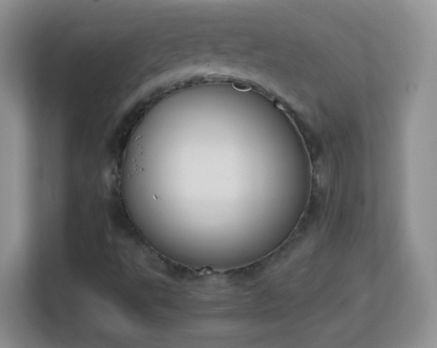 X0000113171495200909111024