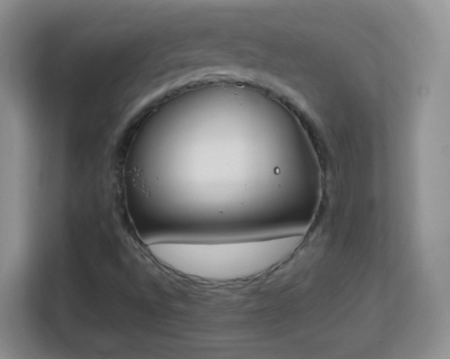 X0000113171496200909111024