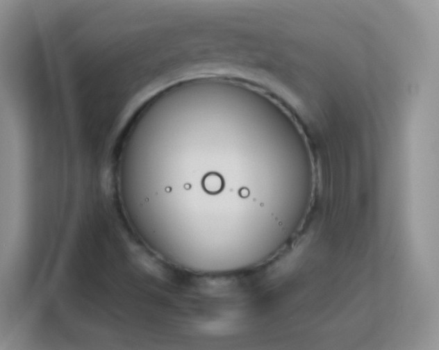 X0000113171501200909111024