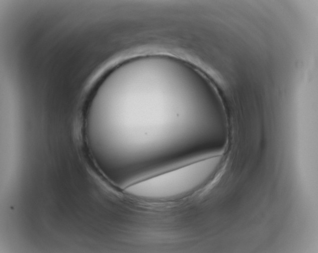 X0000113171502200909111024
