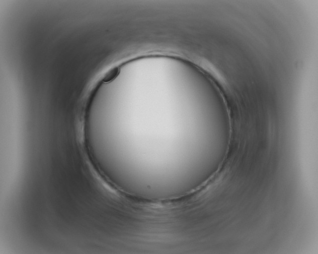 X0000113171504200909111024