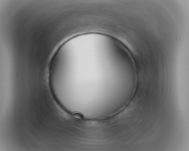X0000113171508200909111024